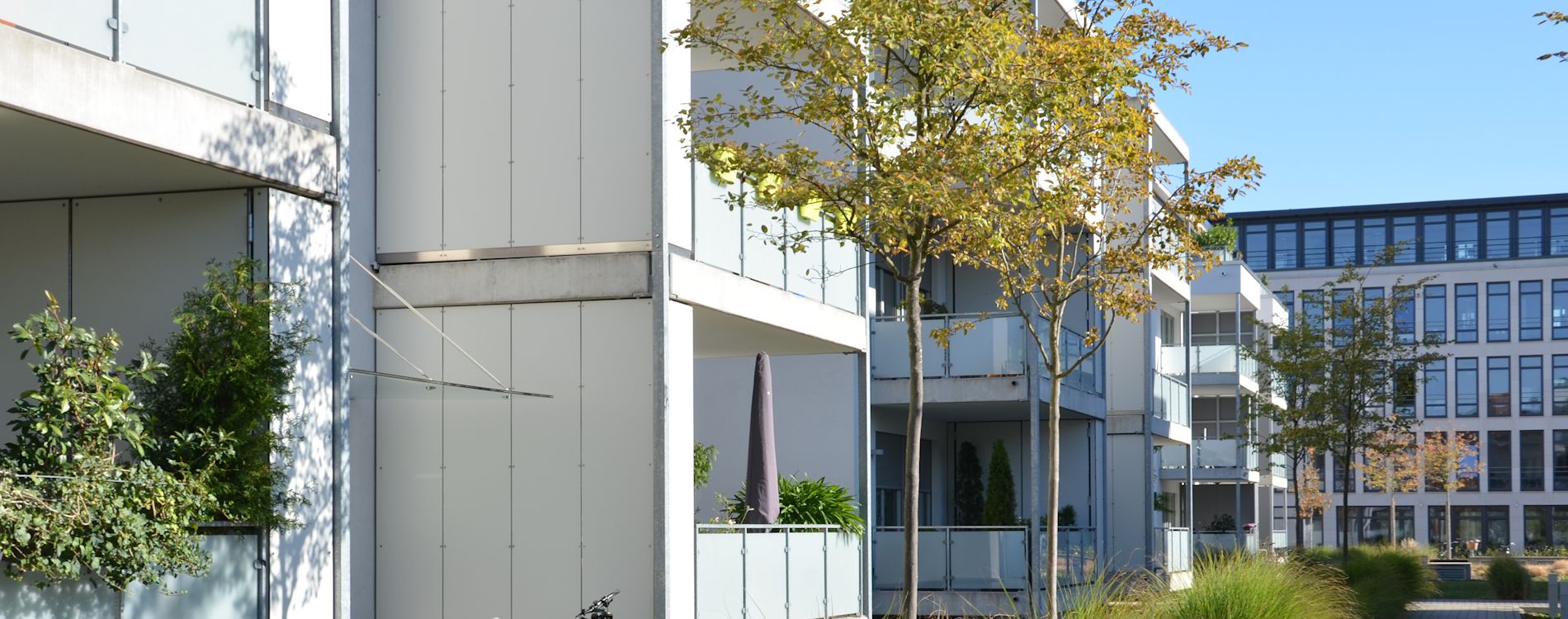 Moderne Hausfassade mit Balkonen und jungen Bäumen
